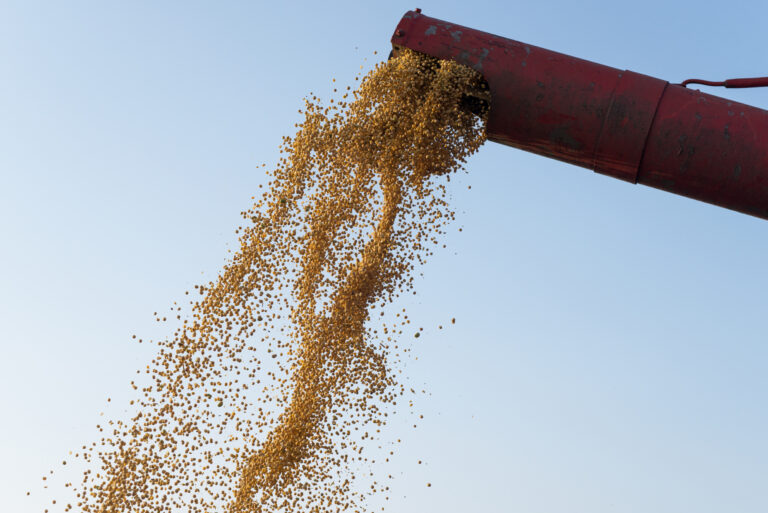 Biomass Energy
