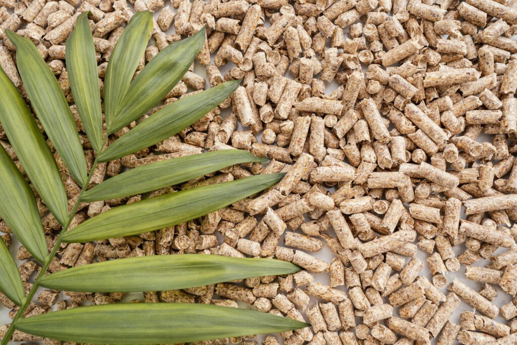 Biomass Energy