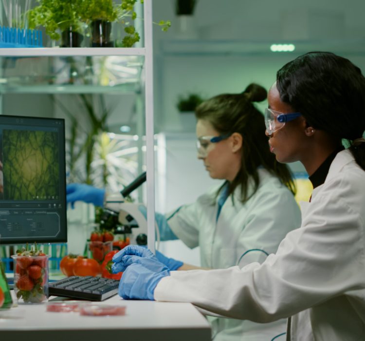 chemist-researcher-injecting-strawberry-with-organic-dna-liquid-while-working-pharmaceutical-farming-laboratory Chemist researcher injecting strawberry with organic dna liquid while working in pharmaceutical farming laboratory. Scientist checking healthy fruits typing medical expertise information on computer SSUCv3H4sIAAAAAAAACkRSXYvbMBD8K0bPUdDasmTnrbTXQmlLoA99OJdj9eFYxLGCLF8pIf+9a+eOvu0Os7PaGd2YwTlYdrixMI7LnBPmECd2EDuW/OR82srXVCmxVd6FHFPAcesMZjtMePHsMC3jeN+xOWNeZj+TInUWsz8RfevfVz3fVpwd2E8b/GQ9o6nFUP89zNaPI04+LjO77955P0gy/acdiZHnAidX5ORJ+v57x/BEUn/XrbQ2+dHj9ohnVgklNNTInTDIpYaeYy+o8rLXxjVGS0vSDnplJdS8rqHk0pWGo/QtF07LHsD0ygmiNW3V19IqbtBJLqGviUaSJZS61cYoLTXRStGgAlQcoFRcSqV5I7TkwlQObFMDtorRq89/sk+XN7NwcSGuPr1GiyOBFYHXFGyYTg9GzMMaCPkSlyknOpfRsjHGK5qRMuhpzO/YgPNMBPcGrDlQsvHyEJliXp1ZJx3FQxVUpWoltE3dVArqCtYTHkEOgQbXResklfYc3NtzA+kz4WQpsGq4qOXqbkPuEsYNtUa2TpsKSGy5jhFd3q7rKbNrOLMDkEgf02XLOOFMVmzX0PFXzAOBT4eug33xK6YzeVAch5jj3HWqJfDzU/ENTaT/Su8rePH4FRv/U5x8130QTfsiQNRQQ/PyEYTYC7oUtCz3X49f2P0fAAAA//8DAKMMQxj8AgAA