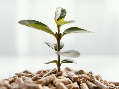 Biomass Biomass